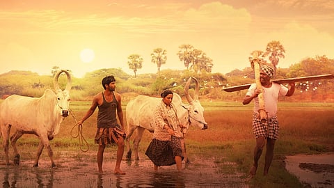 Bison Kaalamaadan's fourth single 'Thennaadu' to release on this date