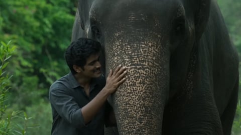'Pothi Pothi' from Kumki 2 is a celebration of the man-animal bond