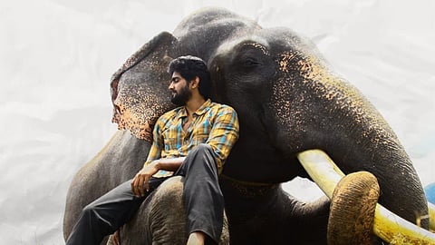 Chennai HC orders interim ban on release of Prabu Solomon's Kumki 2