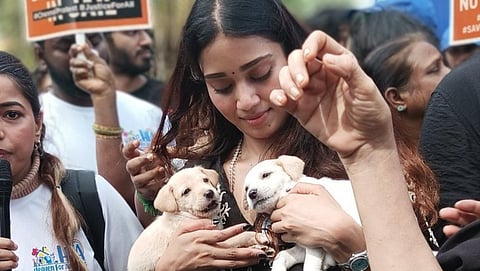 Nivetha Pethuraj’s pro-stray dog comments spark backlash online