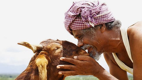 Ondimuniyum Nallapadanum Movie Review: A decent story suffers from outdated and amateurish direction