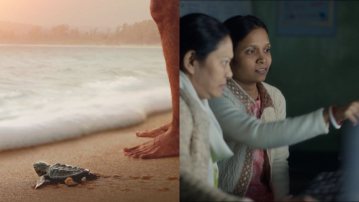 Turtle Walker, Humans in the Loop: All Living Things Environmental Film ...