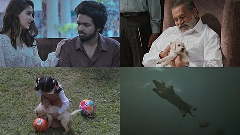 Lucky glimpse: GV Prakash is in search of a gifted dog amidst political chaos