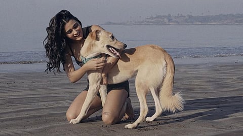 Shalini Pandey backs PETA India’s dog adoption campaign