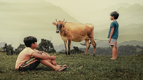 Valavaara locks release date 