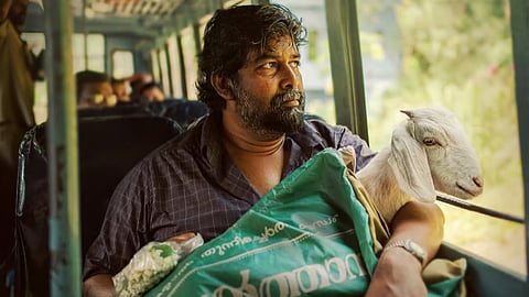 Joju George-Lijomol Jose starrer Aja Sundari wrapped up