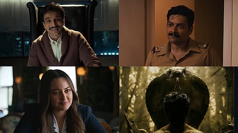 From Kartik Aaryan's Naagzilla to Alia Bhatt's Don't Be Shy, here's everything Prime Video offers in its 2026 slate