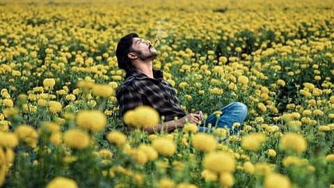 Mango Pachcha takes Toxic date