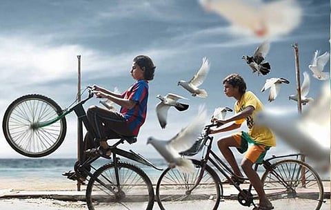 New kids on the block