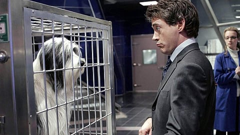 Robert Downey Jr&#39;s The Voyage of Doctor Dolittle delayed