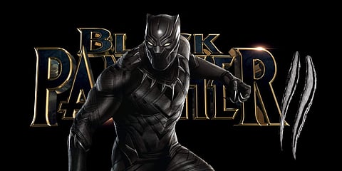 Black Panther makers confirm sequel plans
