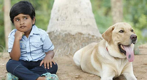 Bow Bow Movie Review: A dog without a purpose