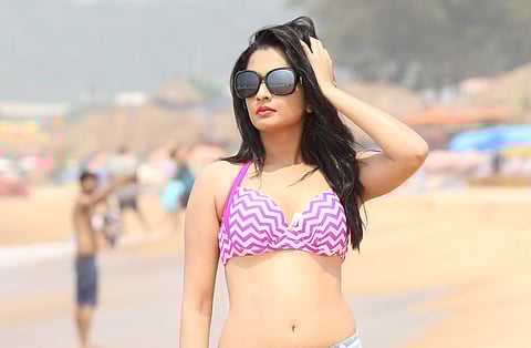 Sonal Monteiro Panchatantra