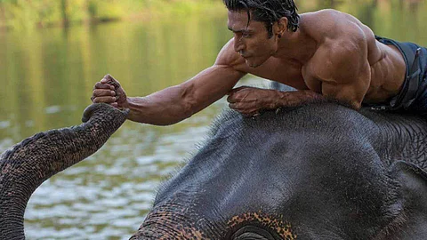Elephants ruled the sets of Junglee: Vidyut Jammwal