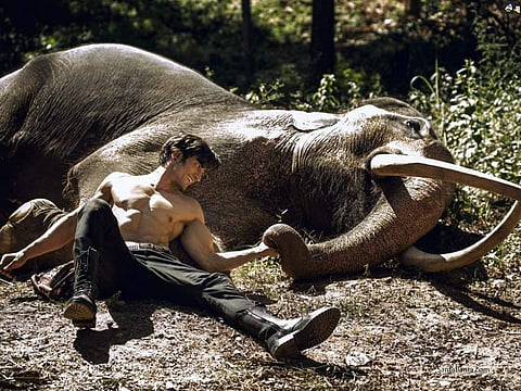 Junglee Review Vidyut Elephant