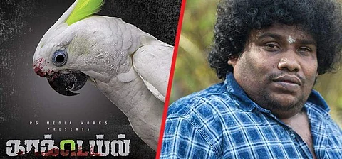 Yogi Babu to play the lead in Cocktail, 'India's first film to star a cockatoo'