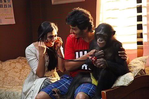 Gorilla Movie Review