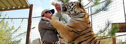 New episode of Tiger King after-show to be hosted by Joel McHale for Netflix