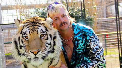 Tiger King: Murder, Mayhem and Madness review: A wild story that appals and moves you at the same time