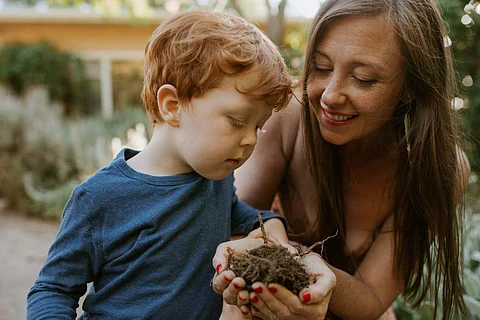 Kiss the Ground Review: Tickells’ instructive documentary presents an effective solution to climate change    