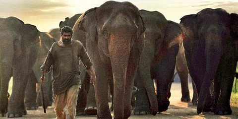 Rana Daggubati's Aranya new release date out