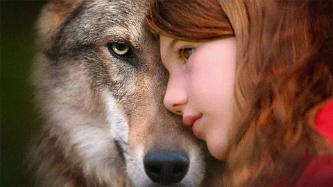 Lack of adequate conflict troubles this endearing film