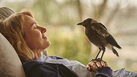 Penguin Bloom Movie Review: An uplifting film about hope and understanding