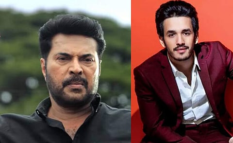 Mammootty to play Akhil's villain in Agent