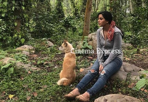 Location Diaries: The Chase- Call of the wild