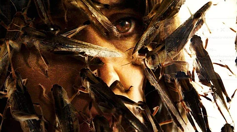 The Swarm Movie Review: Bustling locusts and broken humans combine to deliver effective scares