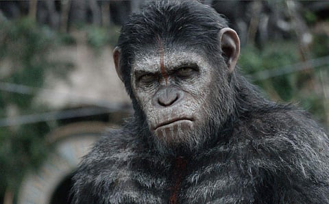 New Planet of the Apes movie on cards