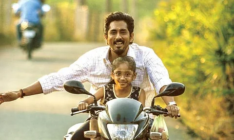 Chithha collects Rs 11.5 crore at box office 
