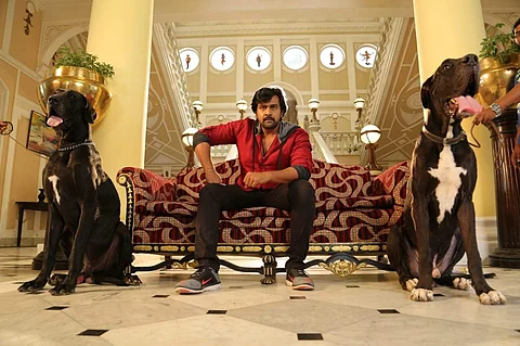 Rajamarthanda Movie Review: A fitting tribute to Chiranjeevi Sarja's devoted fanbase