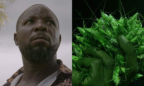 Cinema Without Borders: Grasshopper Republic—Survival of the fittest