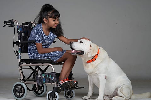 I found it so easy to shoot with Rocky, the labrador: Vishwas Krishna