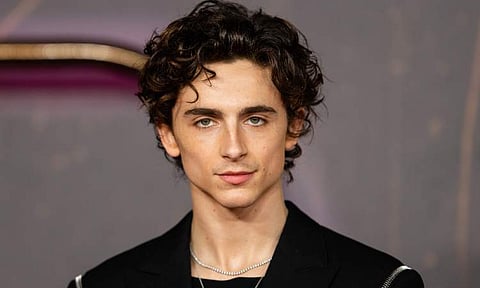 Timothee Chalamet is clueless about his scrapped cameo in Barbie