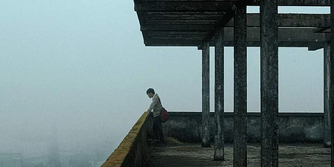 Cinema Without Borders: Inside the Yellow Cocoon Shell — The meaning of life