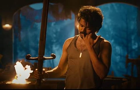 Vijay in Leo