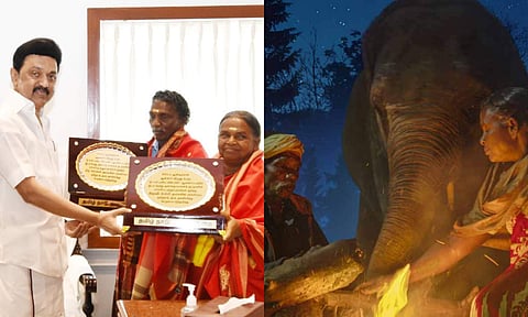 TN CM MK Stalin felicitates Bomman and Bellie featured in The Elephant Whisperers