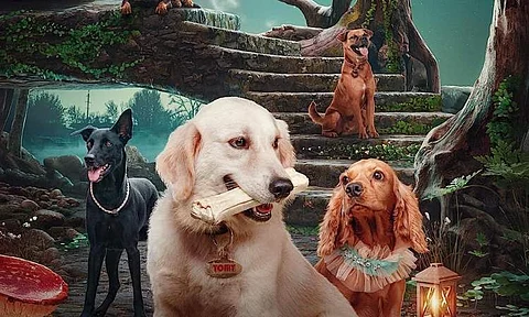 Canine-cast film Valatty's release postponed 