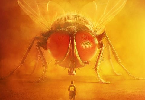 First look of Lovely out