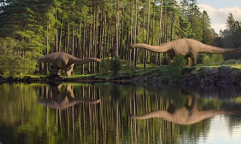 Trailer of Life on Our Planet is here 
